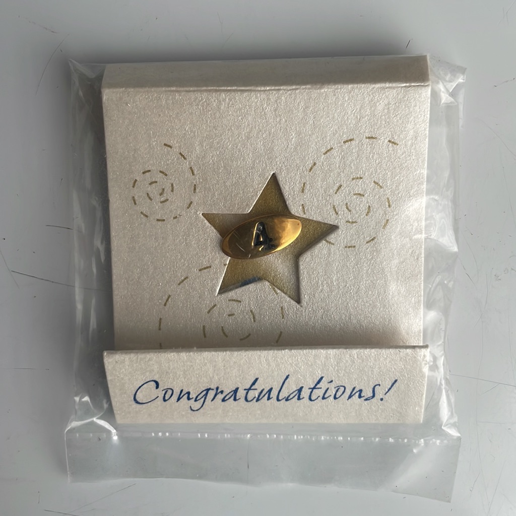 Vintage Mary Kay Oval 4 Year Anniversary Award Ladder Of Success Consultant Pin